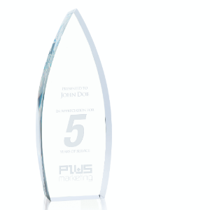 Embroidered Dress Shirt